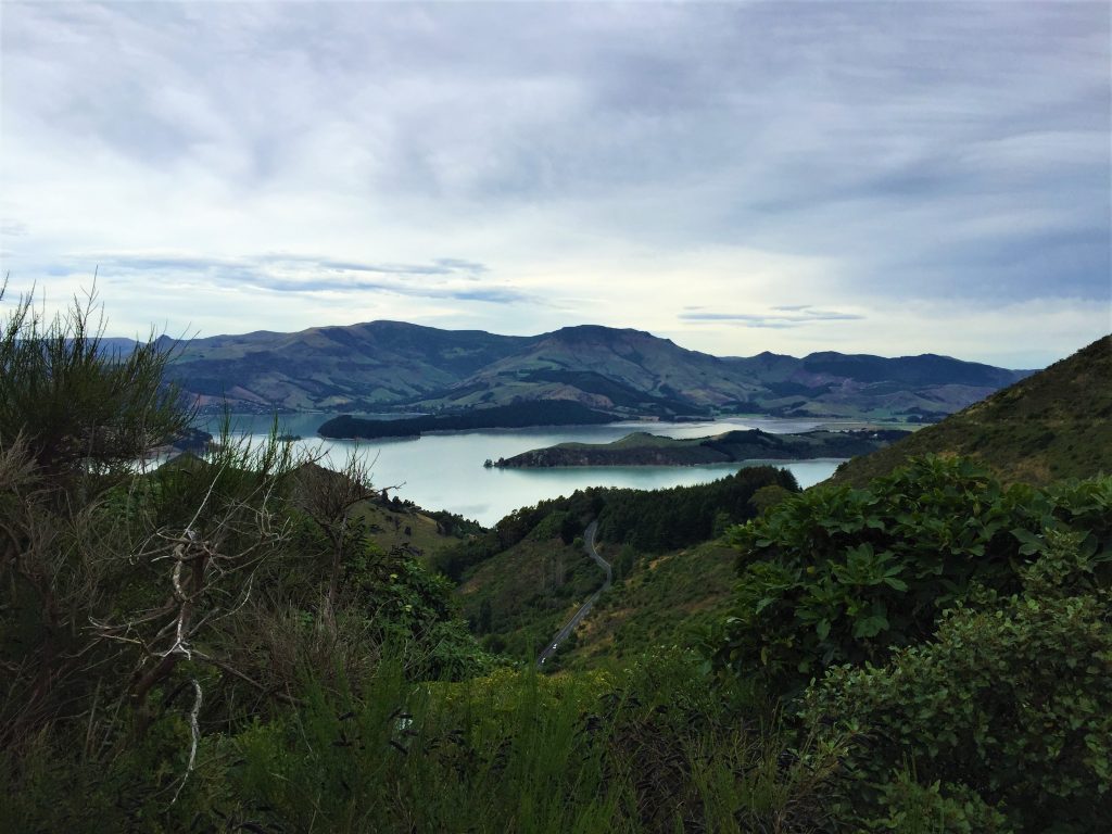 Backpack-nz - header image, christchurch new zealand view