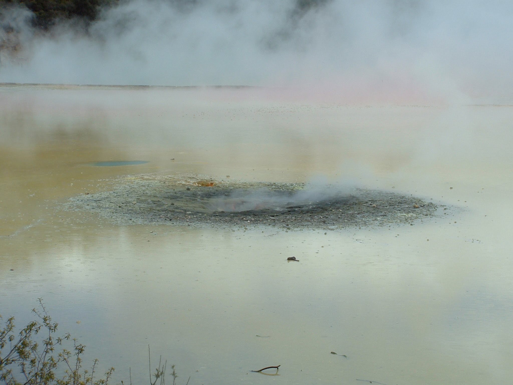 Geothermal Rotorua new zealand
