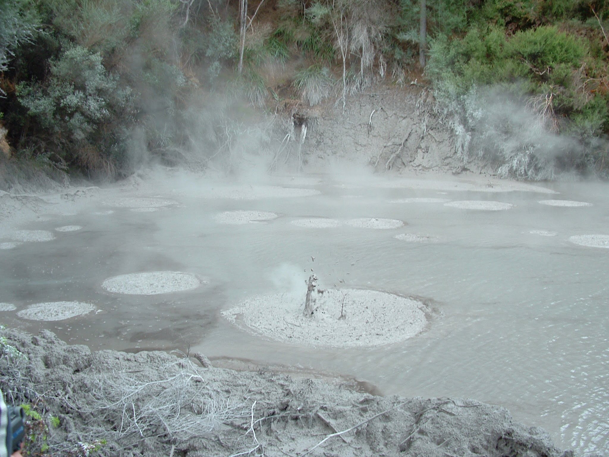 Rotorua new zealand