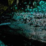 Waitomo caves