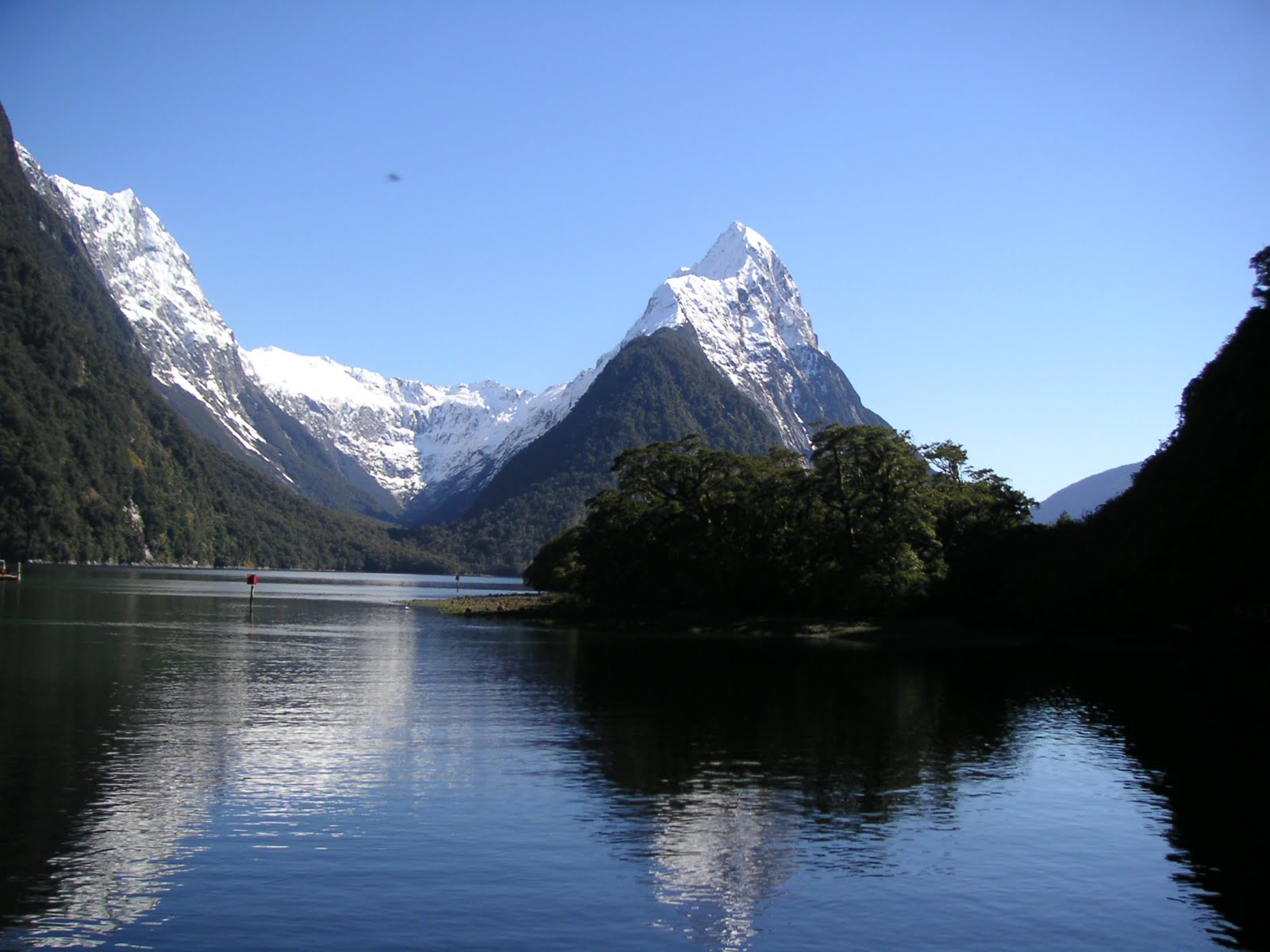 Milford Sound New Zealand - Beautiful mirrored waters