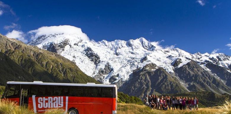 Stray-Travel-new-zealand