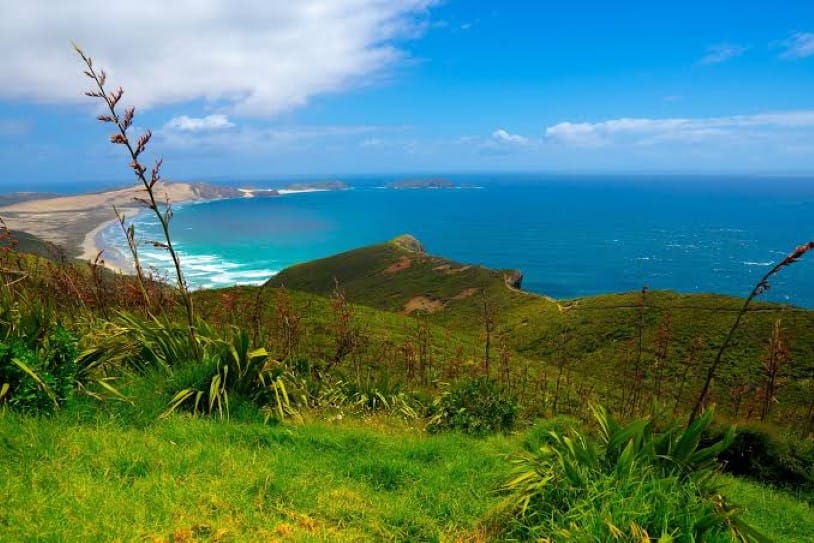 Cape-Reinga-Lefthand bay