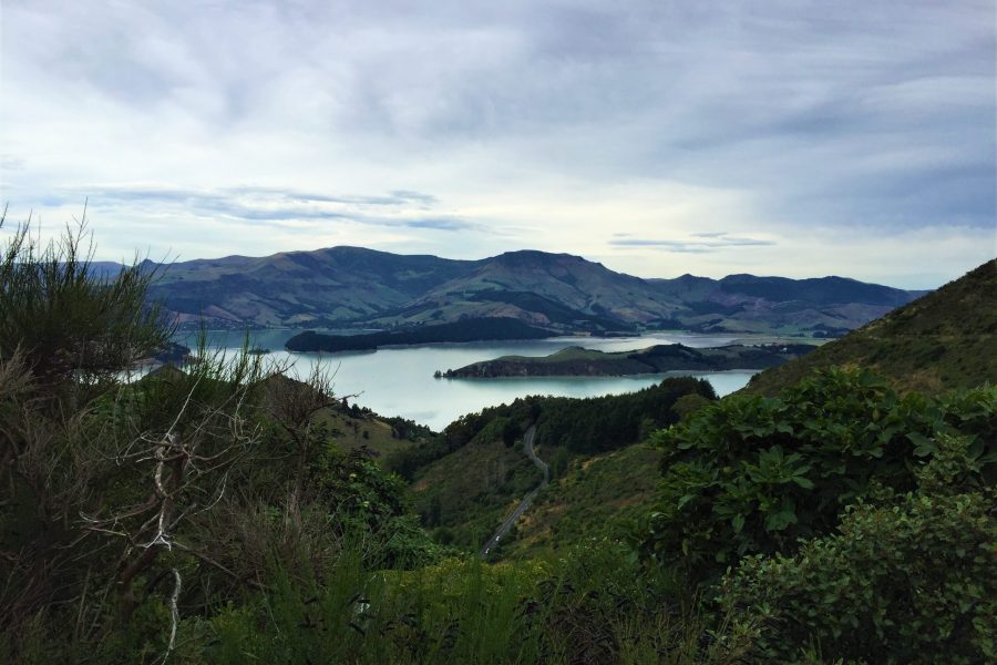 Backpack-nz - header image, christchurch new zealand view