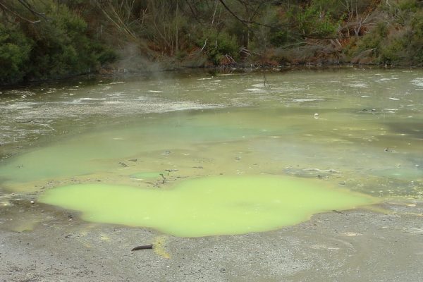 Geothermal Rotorua new zealand