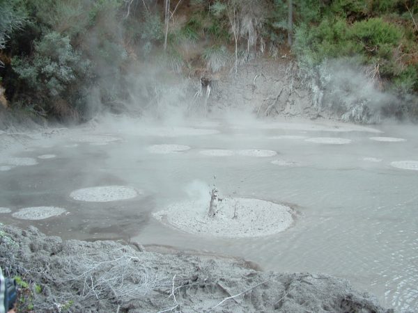 Rotorua - backpack-nzv