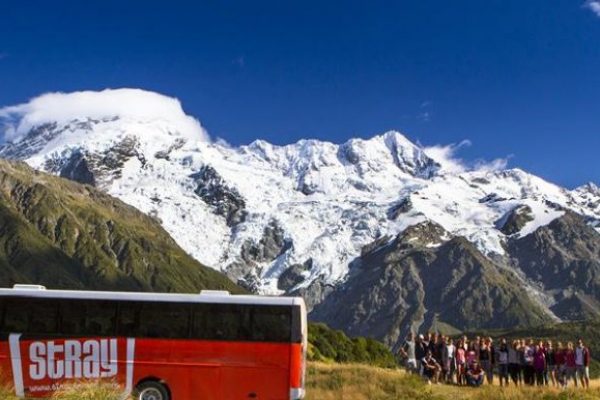 Stray-Travel-new-zealand